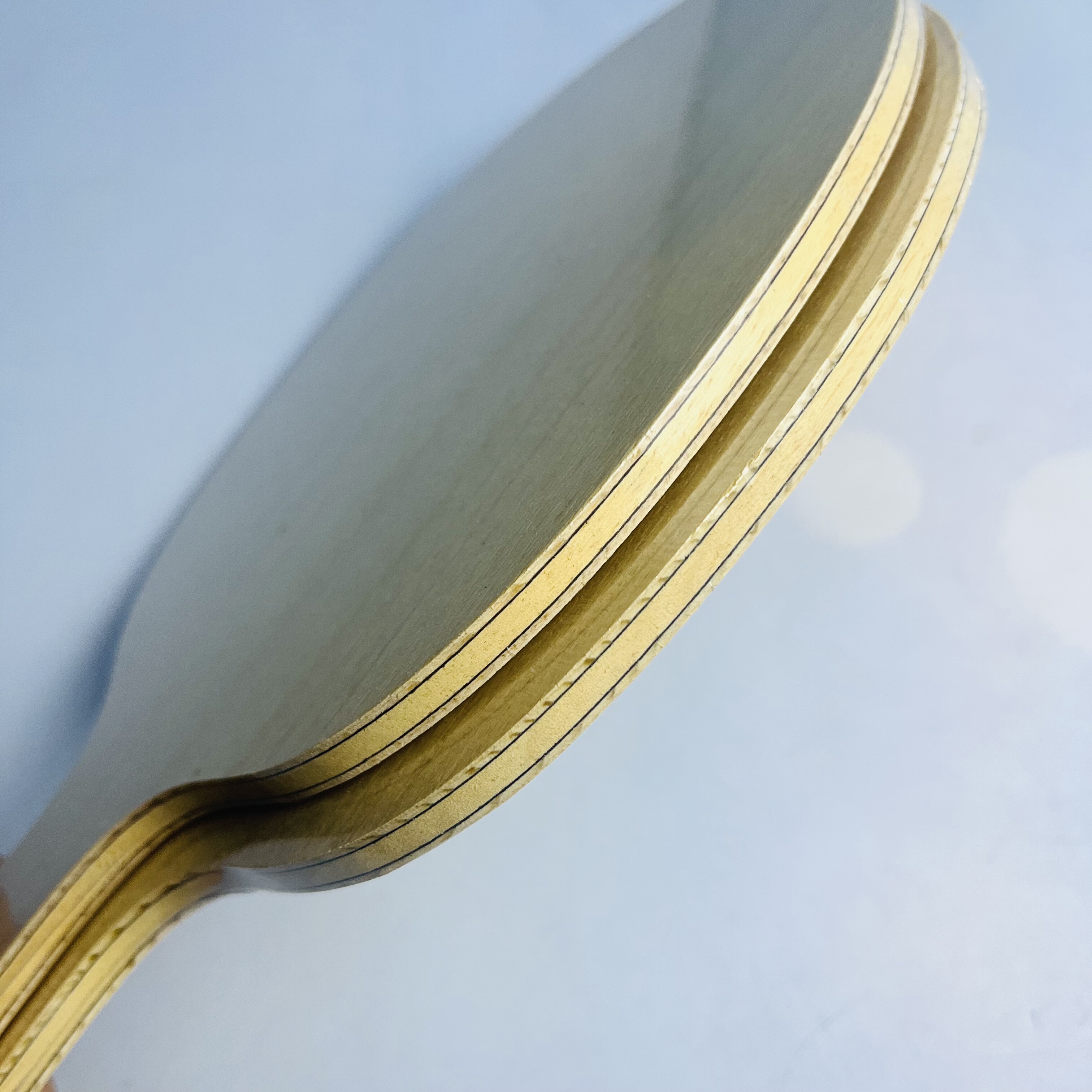 Table Tennis Blade with Limoni - Table Tennis Launcher recension och pris