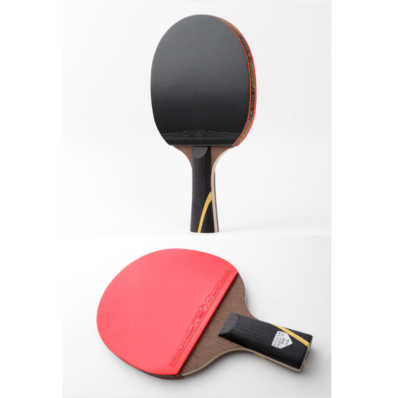 Huieson 6 Star Upgraded Table  - Table Tennis Padel recension och pris