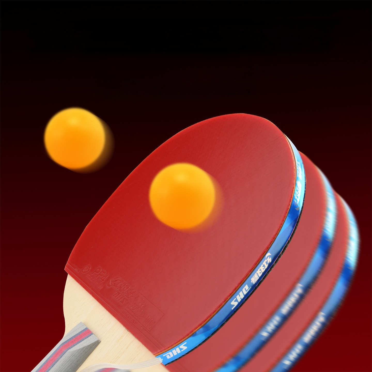 DHS Table Tennis Rackets with  - Table Tennis Net Set recension och pris
